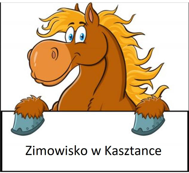 Read more about the article Zimowisko 2024